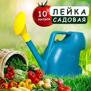 Лейка садовая с рассеивателем 10л синяя