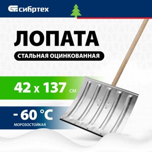 Лопата для уборки снега СИБРТЕХ стальная оцинкованная, 420х370х1370 мм, деревянный черенок 61680