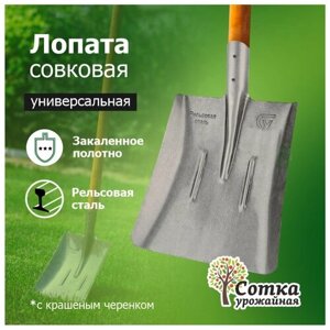 Лопата садовая совковая ЛСП рельсовая сталь "урожайная сотка" универсальная с ребрами жесткости с деревянным черенком