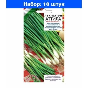 Лук батун Аттила 0,5г Ранн (Цвет сад) - 10 пачек семян