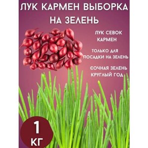 Лук Кармен на зелень 1кг