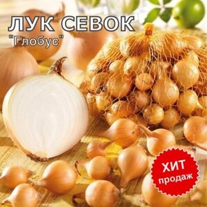 Лук севок на посадку "Глобус" 0,8 кг