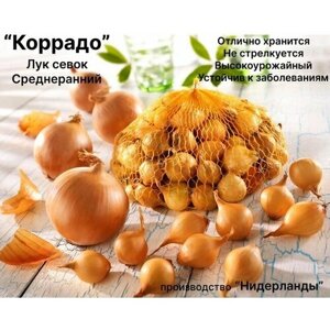 Лук севок на посадку "Коррадо" 800 гр