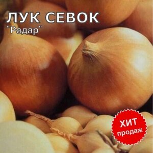 Лук севок на посадку "Радар" 800 гр