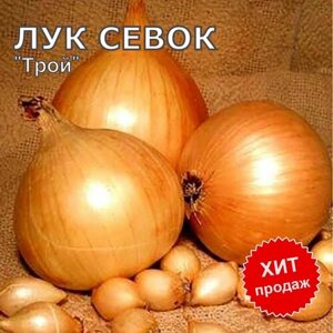 Лук севок на посадку "Трой" 700 гр