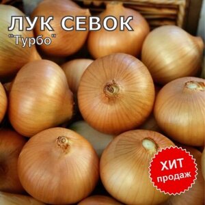 Лук севок на посадку "Турбо" 800 гр