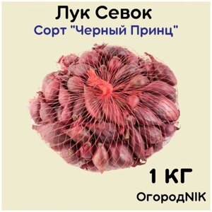 Лук Севок сорт "Черный Принц" 1кг