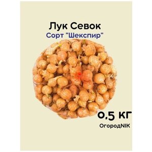 Лук Севок сорт "Шекспир" 0.5 кг