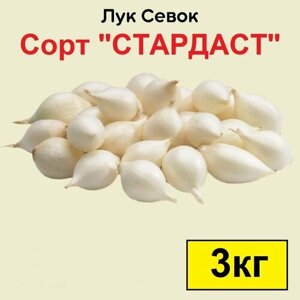 Лук севок Стардаст 3 кг. Урожай 2023