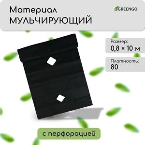 Материал мульчирующий, с перфорацией, 10 0,8 м, плотность 80 г/м²спанбонд с УФ-стабилизатором, чёрный, Greengo, Эконом 20%