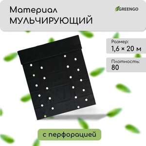 Материал мульчирующий, с перфорацией (4 ряда), 1,6 x 20 м, плотность 80, УФ-стабилизатором, чёрный, Greengo, Эконом 20