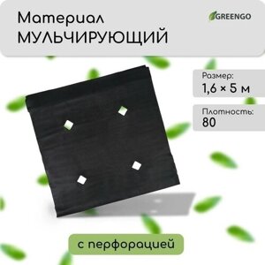 Материал мульчирующий, с перфорацией, 5 1,6 м, плотность 80 г/м²спанбонд с УФ-стабилизатором, чёрный, Greengo, Эконом 20%