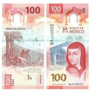 Мексика 100 песо 2021 / Хуана Инес де ла Крус / бабочка-монарх UNC Пластиковая