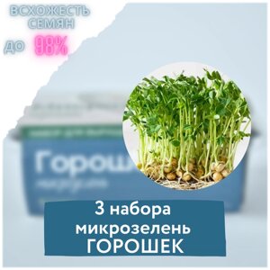 Микрозелень 3 Набора для выращивания микрозелени горошек (3 контейнера с семенами микрозелени и минераловатным субстратом для проращивания)