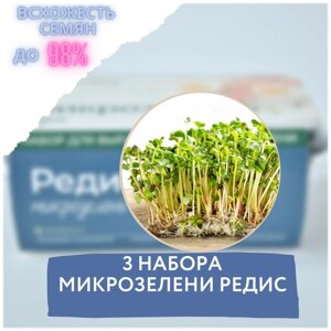 Микрозелень 3 Набора для выращивания микрозелени редис (3 контейнера с семенами микрозелени и минераловатным субстратом для проращивания)