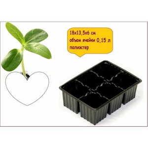 Мини-кассета для рассады, 18х13,5х6 см, полистирол, 6 ячеек. Емкость для проращивания семян и содержания кактусов или зелени