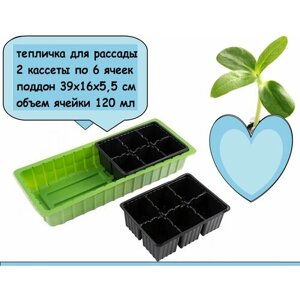 Мини-парник с крышкой 39х16х5.5 см, 2 кассеты по 6 ячеек, набор для рассады многоразовый, также рассчитан на постоянное содержание кактусов и микрозелени