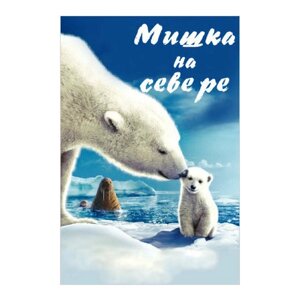 Мишка на севере: В поисках ледяного пути (региональное издание) (DVD)
