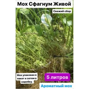 Мох сфагнум 5 литров, живой для орхидей , мох для улиток