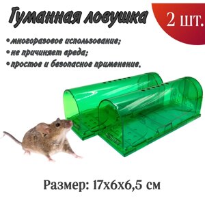 Мышеловка гуманная для мышей пластиковая комплект 2 штуки, зелёный цвет