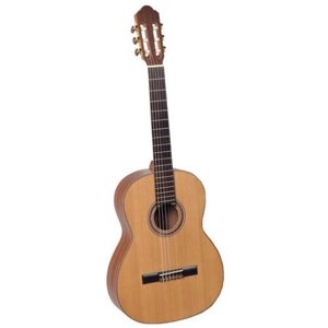 N1150 SM500 Классическая гитара, Hora