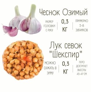 Набор Чеснок Озимый и Лук севок 0.3 кг