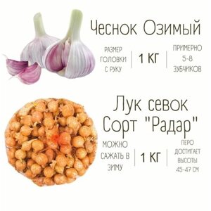 Набор Чеснок Озимый и Лук Севок 1 кг