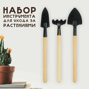 Набор садовых инструментов для комнатных растений