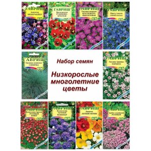 Набор семян, семена низкорослых многолетних цветов - аквилегия, виола, примула, колокольчик и др