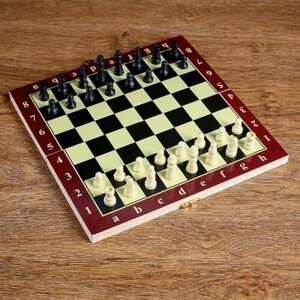 Настольная игра 3 в 1 "Карнал"нарды, шахматы, шашки, 20.5 х 20.5 см