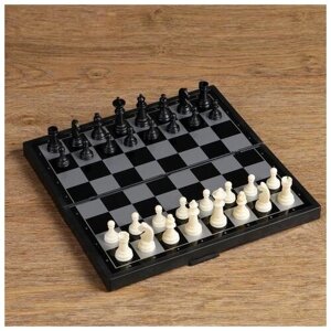 Настольная игра 3 в 1 "Зук"нарды, шахматы, шашки, магнитная доска 24.5 х 24.5 см (1 шт.)