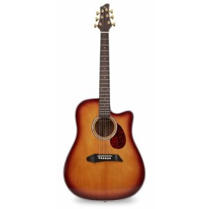 NG DM411SC Peach акустическая гитара, цвет санберст, чехол в комплекте