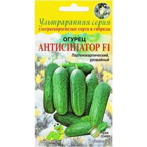 Огурец Антисипатор F1, 6 семян