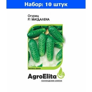 Огурец Магдалена F1 5 шт Парт Ранн Семинис (АгроЭлита) Голландия - 10 пачек семян
