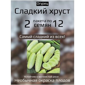 Огурец Сладкий хруст 2 пакета по 12шт семян