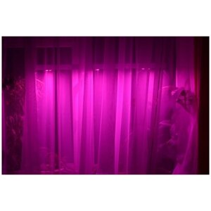 Оконная светодиодная лампа для растений "Васат" 30 Вт, 110 см