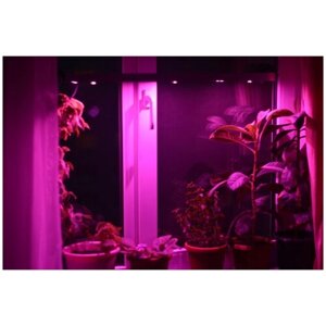 Оконная светодиодная лампа для растений "Васат" 40 Вт, 100 см