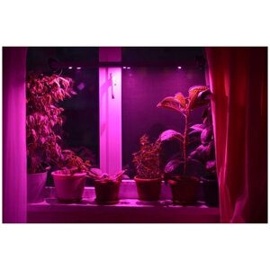 Оконная светодиодная лампа для растений "Васат" 40 Вт, 90 см