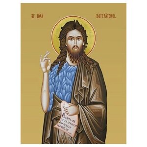 Освященная икона на дереве ручной работы - Иоанн Предтеча / Sf. Ioan Botezatorul, 15х20х1,8 см, арт И8348