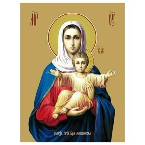 Освященная икона на дереве ручной работы - Леушинская икона божьей матери, 21x28x3 см, арт Ид3534