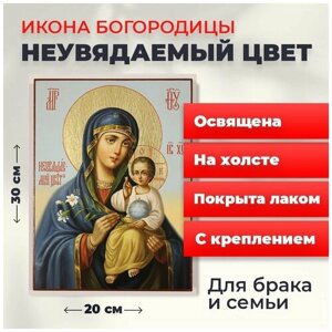 Освященная икона на холсте "Богородица Неувядаемый Цвет", 20*30 см
