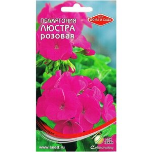 Пеларгония Люстра, розовая, 6 семян