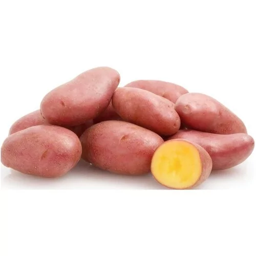 Где В Липецке Можно Купить Семенной Картофель