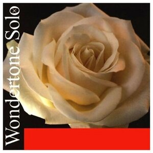 Pirastro 410521 Wondertone Solo Комплект струн для скрипки (синтетика)