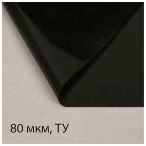 Плёнка полиэтиленовая, техническая, толщина 80 мкм, 3 10 м, рукав (1,5 м 2), чёрная, 2 сорт, Эконом 50 %