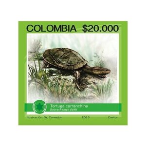 Почтовые марки Колумбия 2015г. Карранхинская черепаха" Черепахи, Фауна MNH