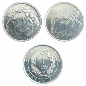 Подарочный набор из 2-х монет 1 куруш Животные. Лев, Ягуар. Турция, 2022 год