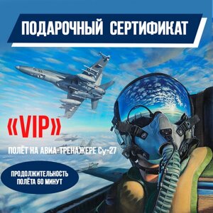 Подарочный сертификат полет на авиатренажере СУ-27, "VIP", 60 минут, 8000