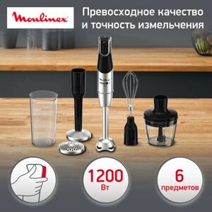 Погружной блендер Moulinex DD95HD10, серебристый/черный