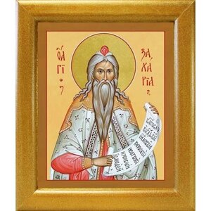 Праведный Пророк Захария, отец Иоанна Предтечи, икона в широкой рамке 19*22,5 см